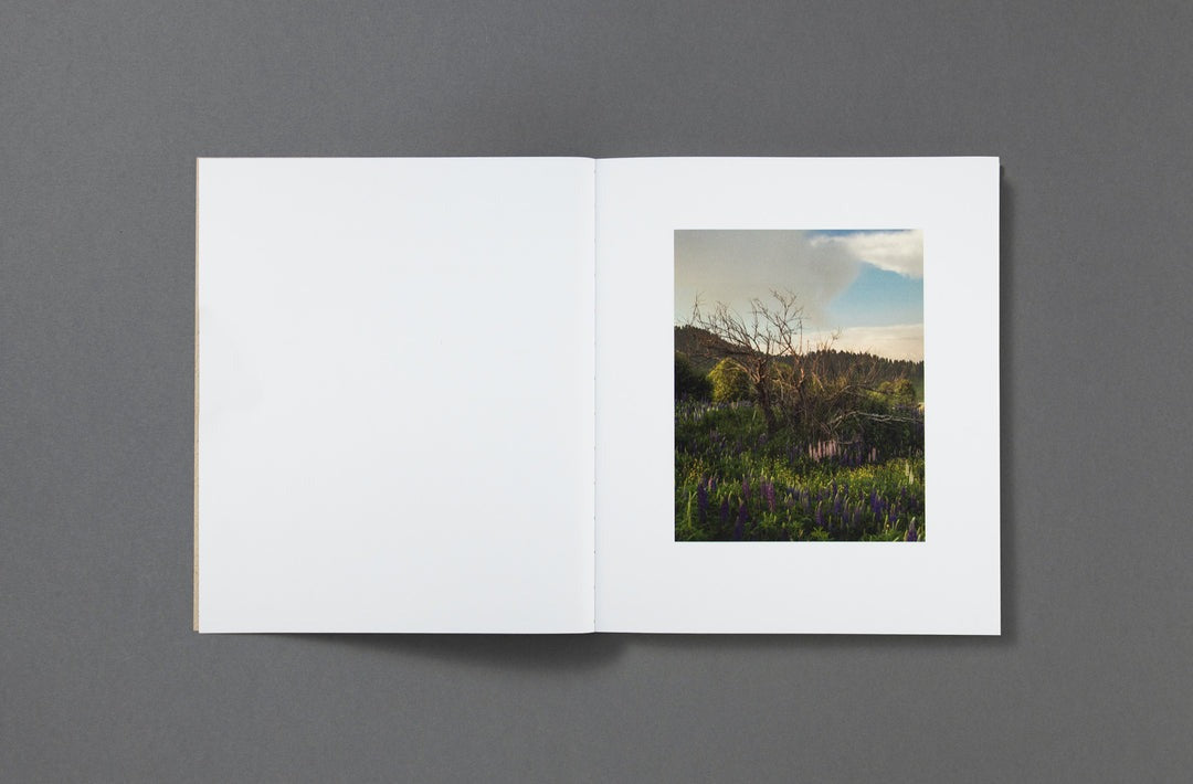 Bharat Sikka - Where the flowers still grow