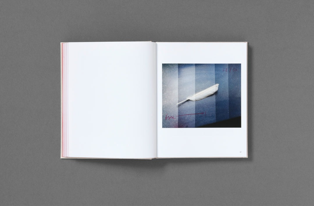 Oliver Frank Chanarin - A Perfect Sentence (Signed)