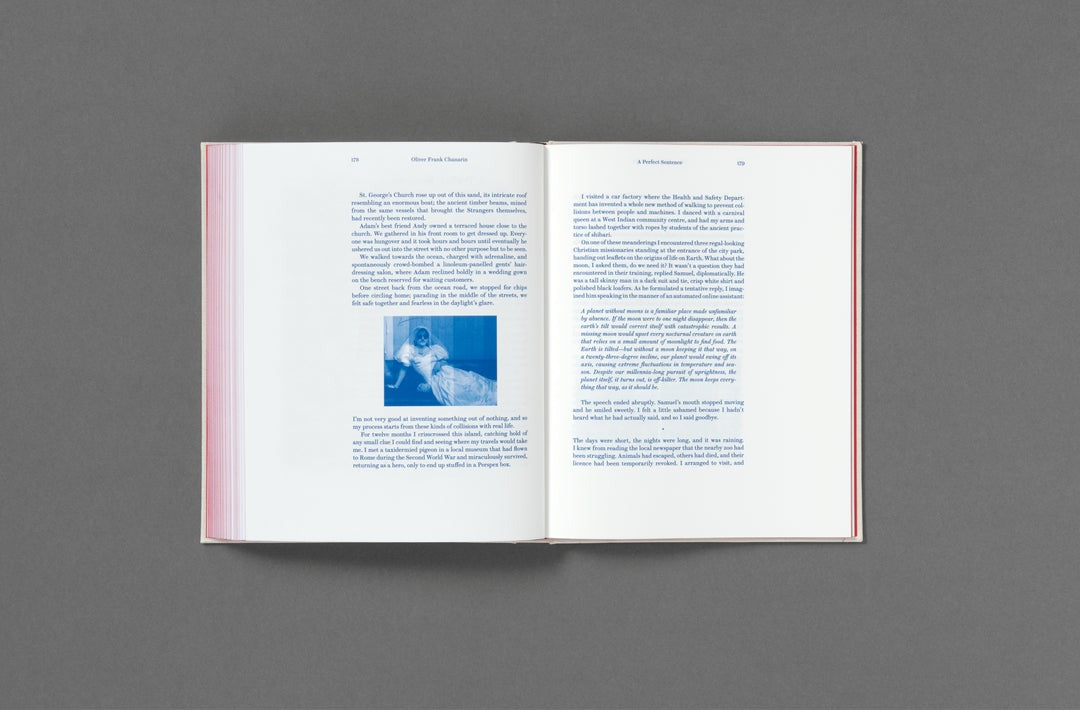 Oliver Frank Chanarin - A Perfect Sentence (Signed)